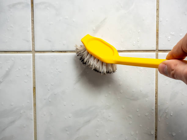 Best Best Mold Removal Companies  in Ol, LA