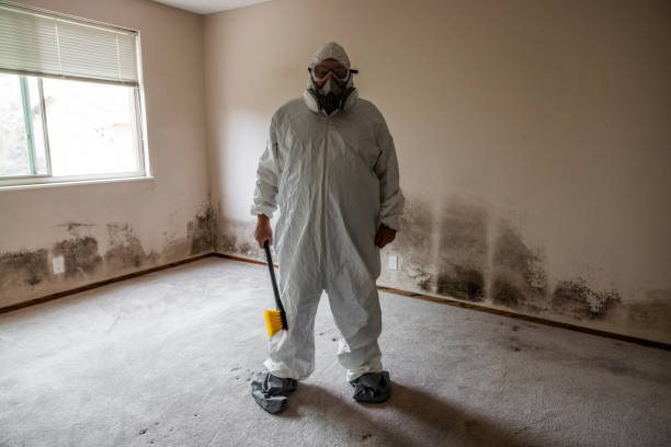 Best Commercial Mold Removal  in Ol, LA