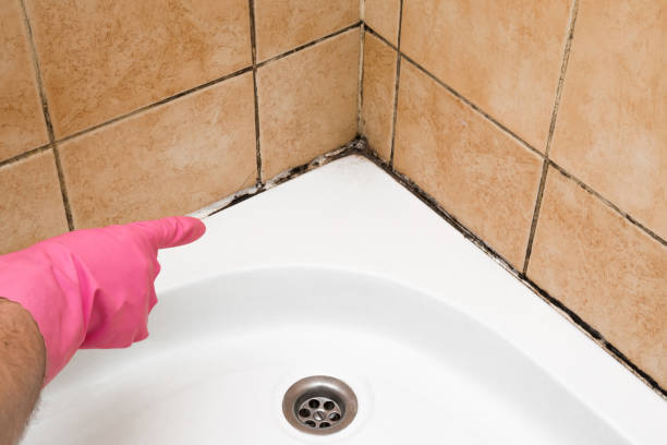 Best Office Mold Removal Services  in Ol, LA